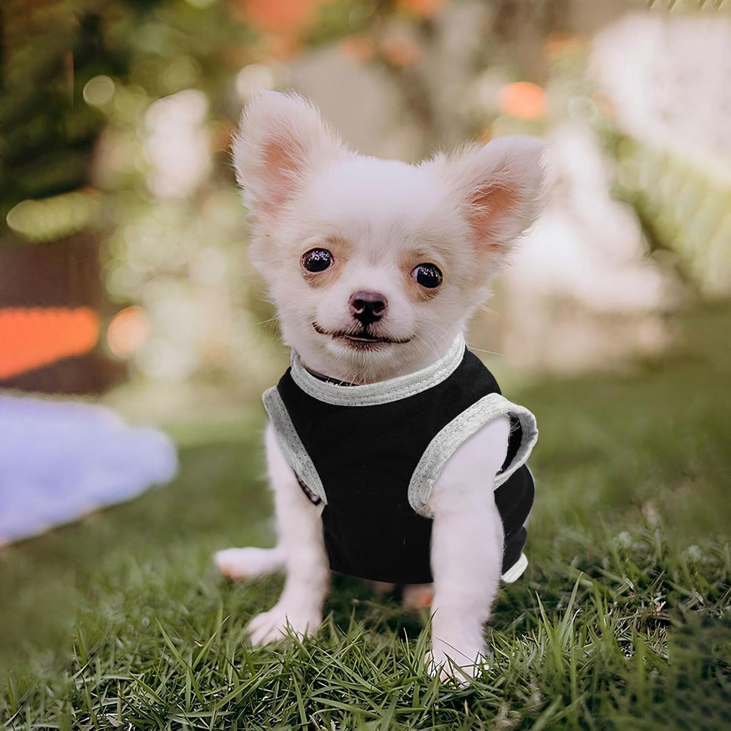 Small Dog Shirts 4-Pack — Cute Clothes for Tiny Breeds