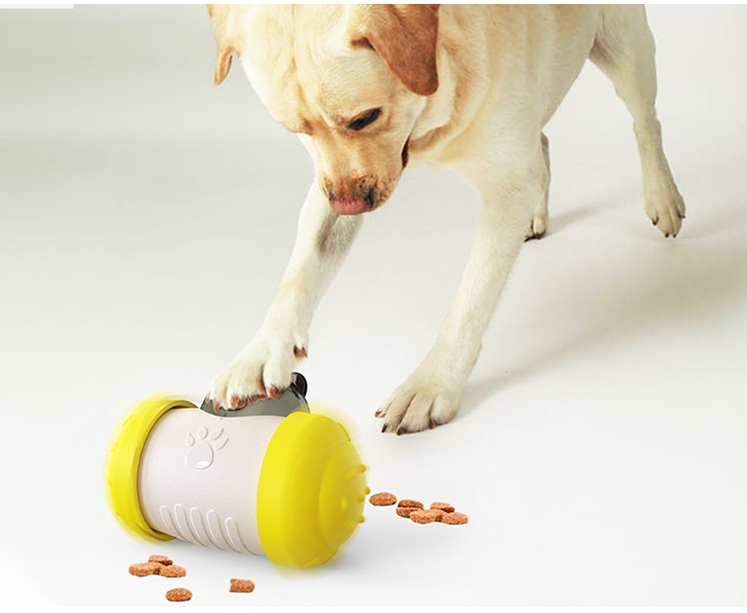 Dog & Cat Treat Dispenser