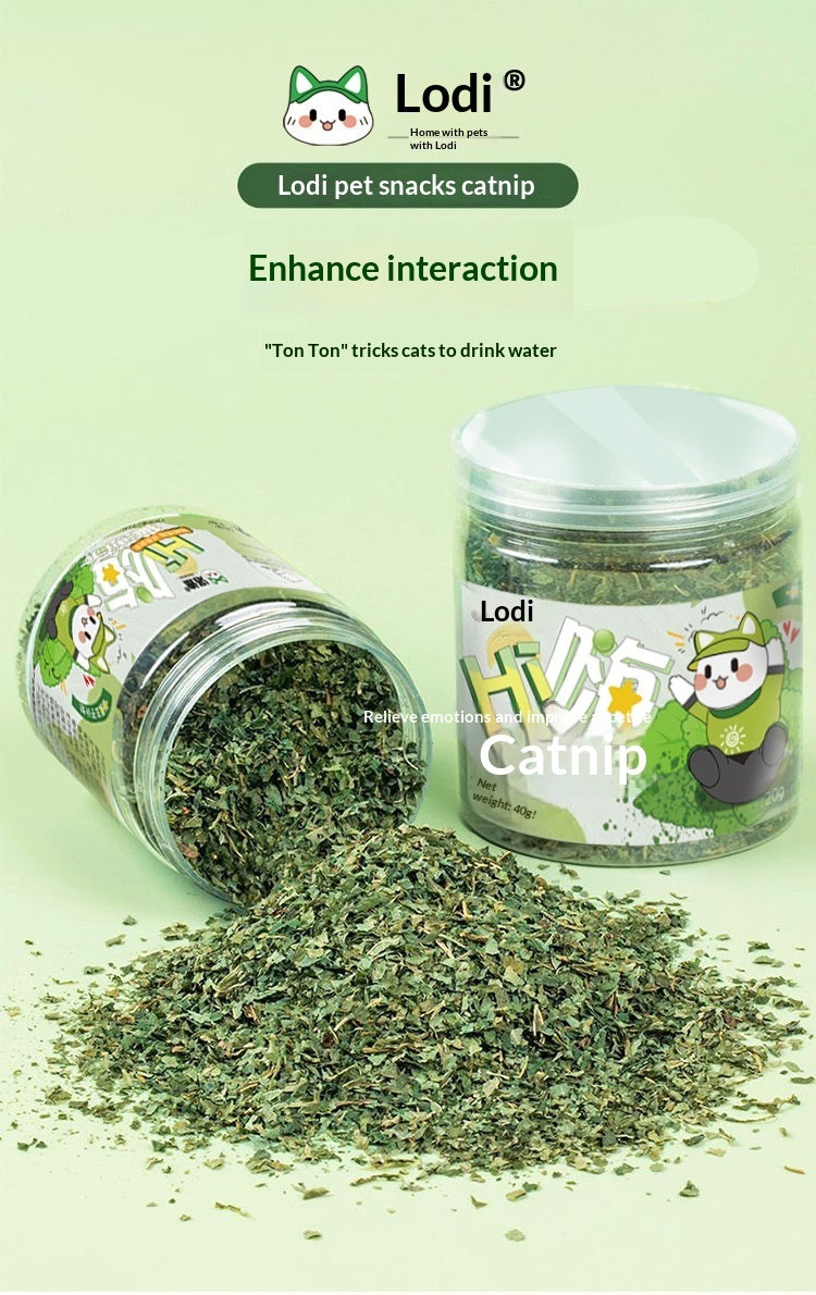 Catnip Cat Grass