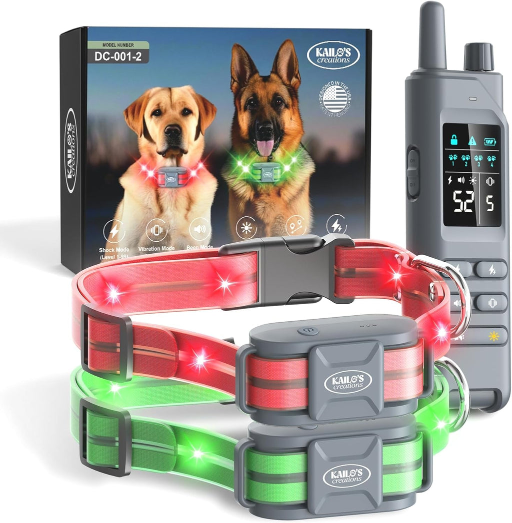 Dog Training Collar for 2 Dogs — 360° LED, 4200FT Range