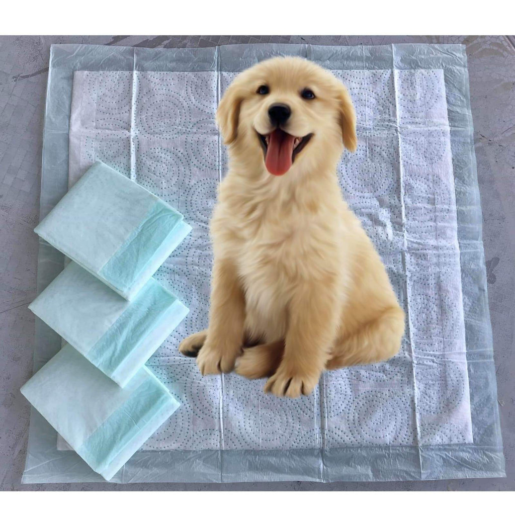 Absorbent Gel Pee Pads For Pets