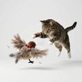 Flapping Bird Cat Toy