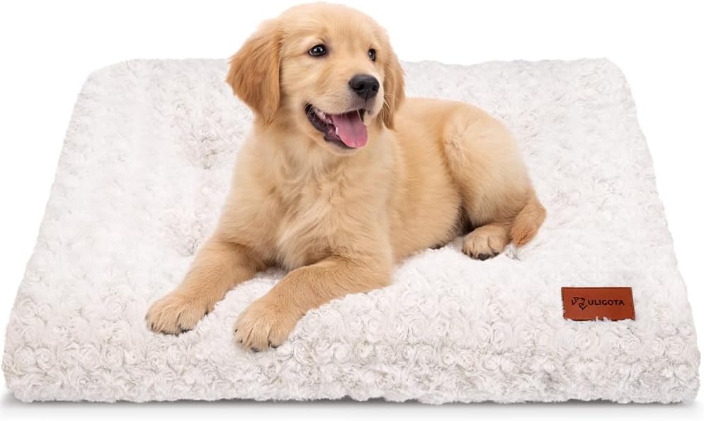 Plush Dog Crate Bed Pad — Washable, Anti-Slip, 24x18