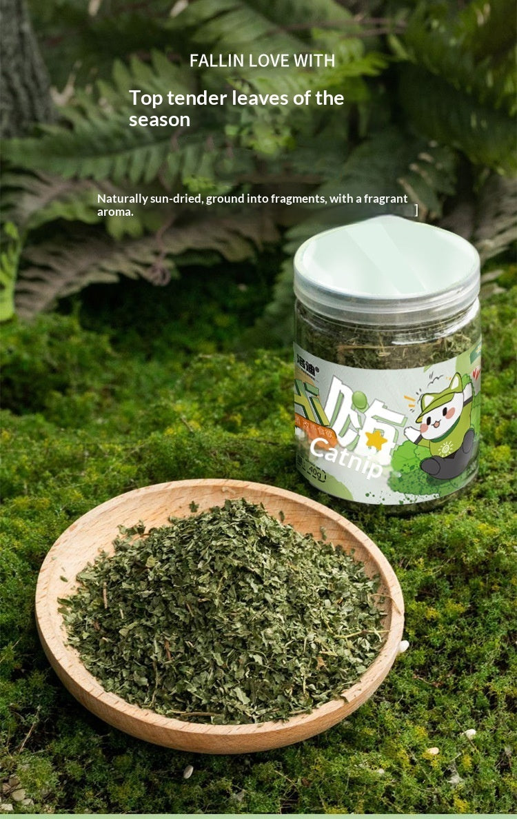 Catnip Cat Grass