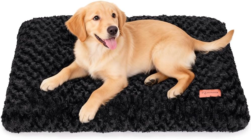 Plush Dog Crate Bed Pad — Washable, Anti-Slip, 24x18