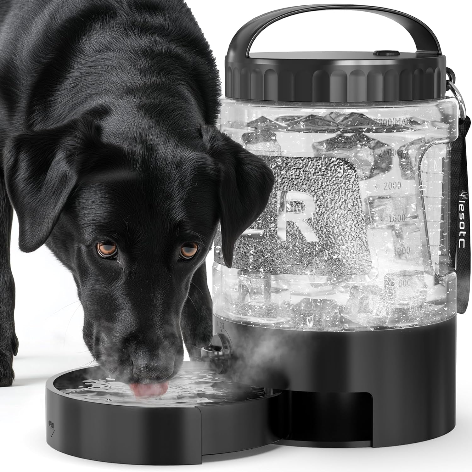 77oz Dog Travel Water Bottle with Bowl — Leak Proof