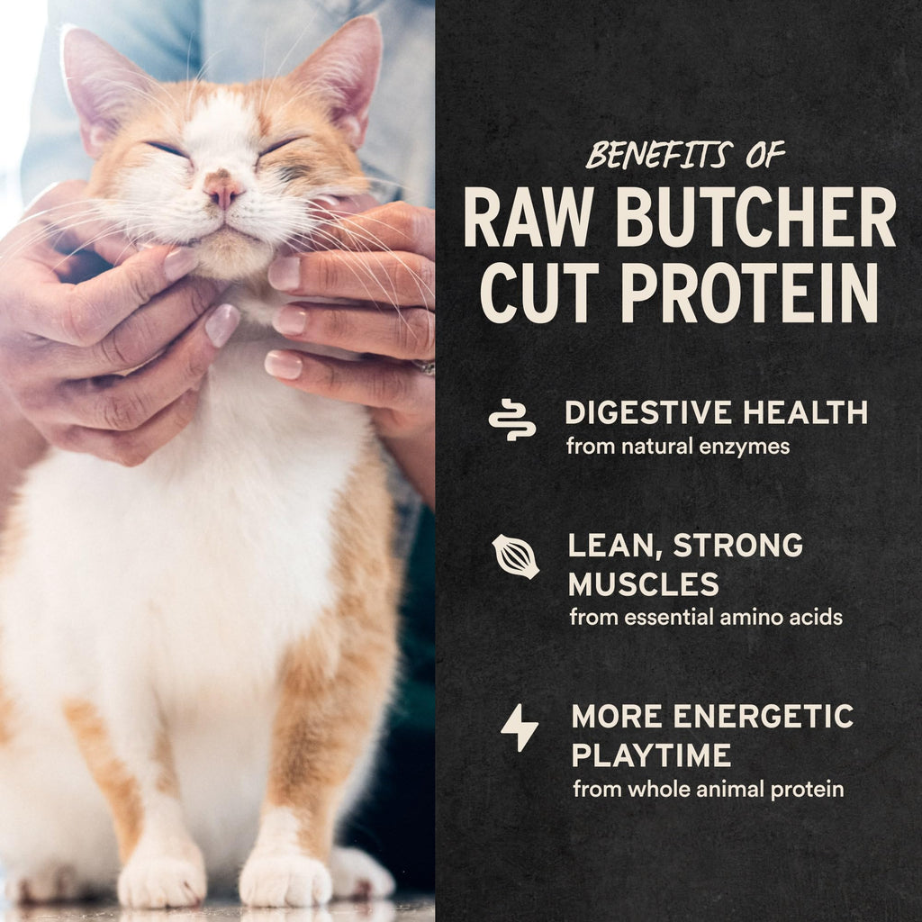 Freeze Dried Salmon Bites