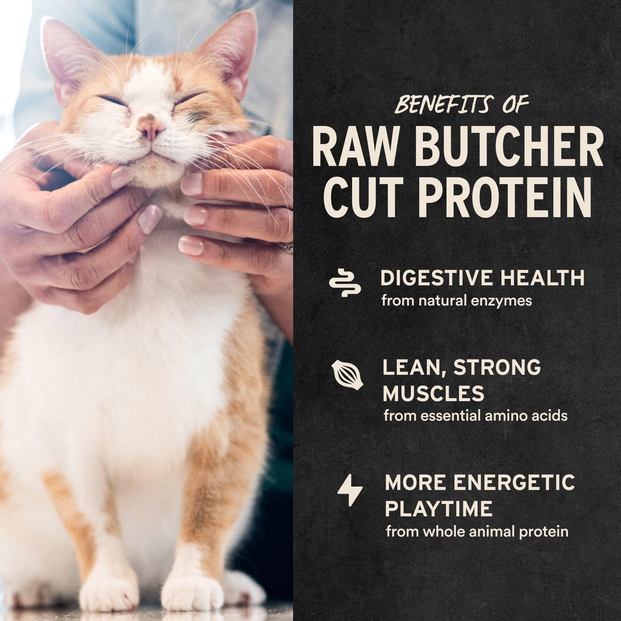 Freeze Dried Salmon Bites