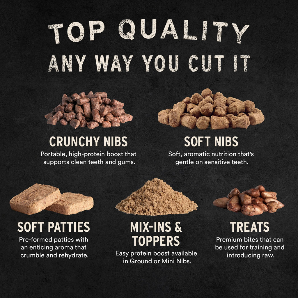 Freeze Dried Salmon Bites