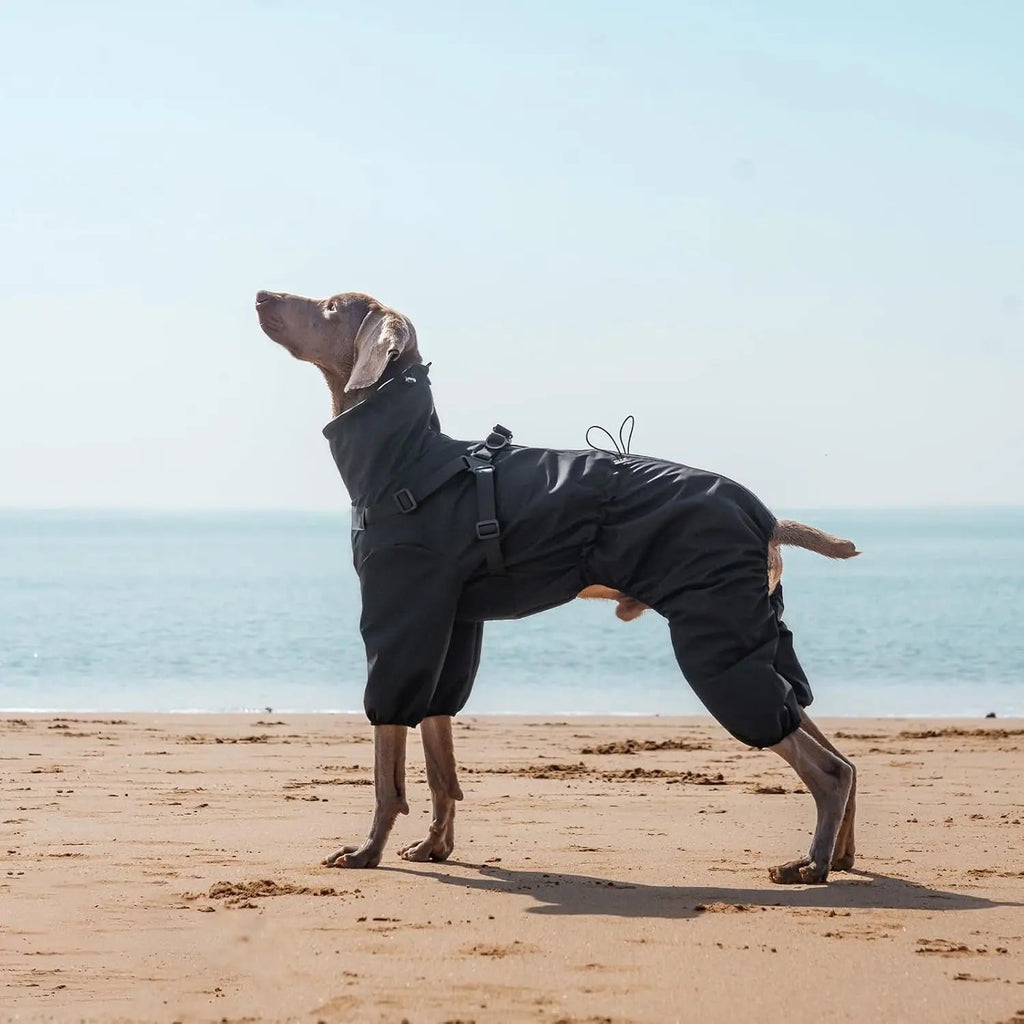 Waterproof Dog Raincoat with Harness Reflective