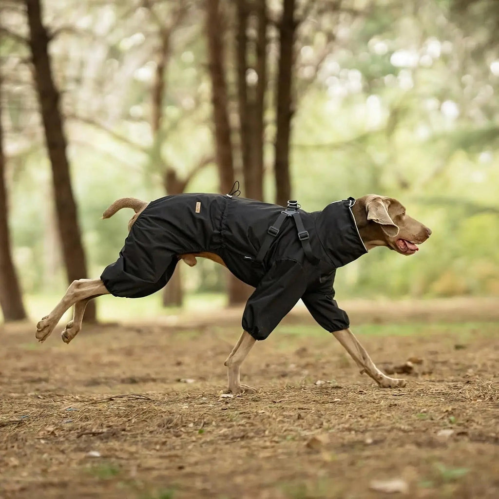 Waterproof Dog Raincoat with Harness Reflective