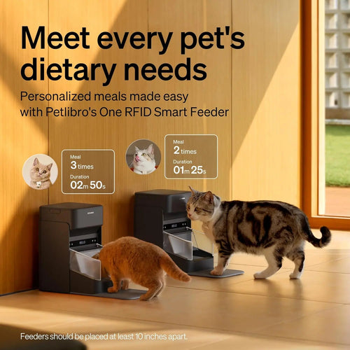 Automatic Cat Feeder — Collar Sensor & App Controlled