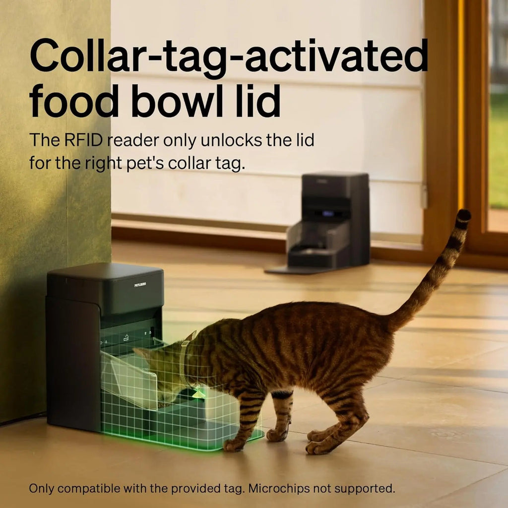 Automatic Cat Feeder — Collar Sensor & App Controlled