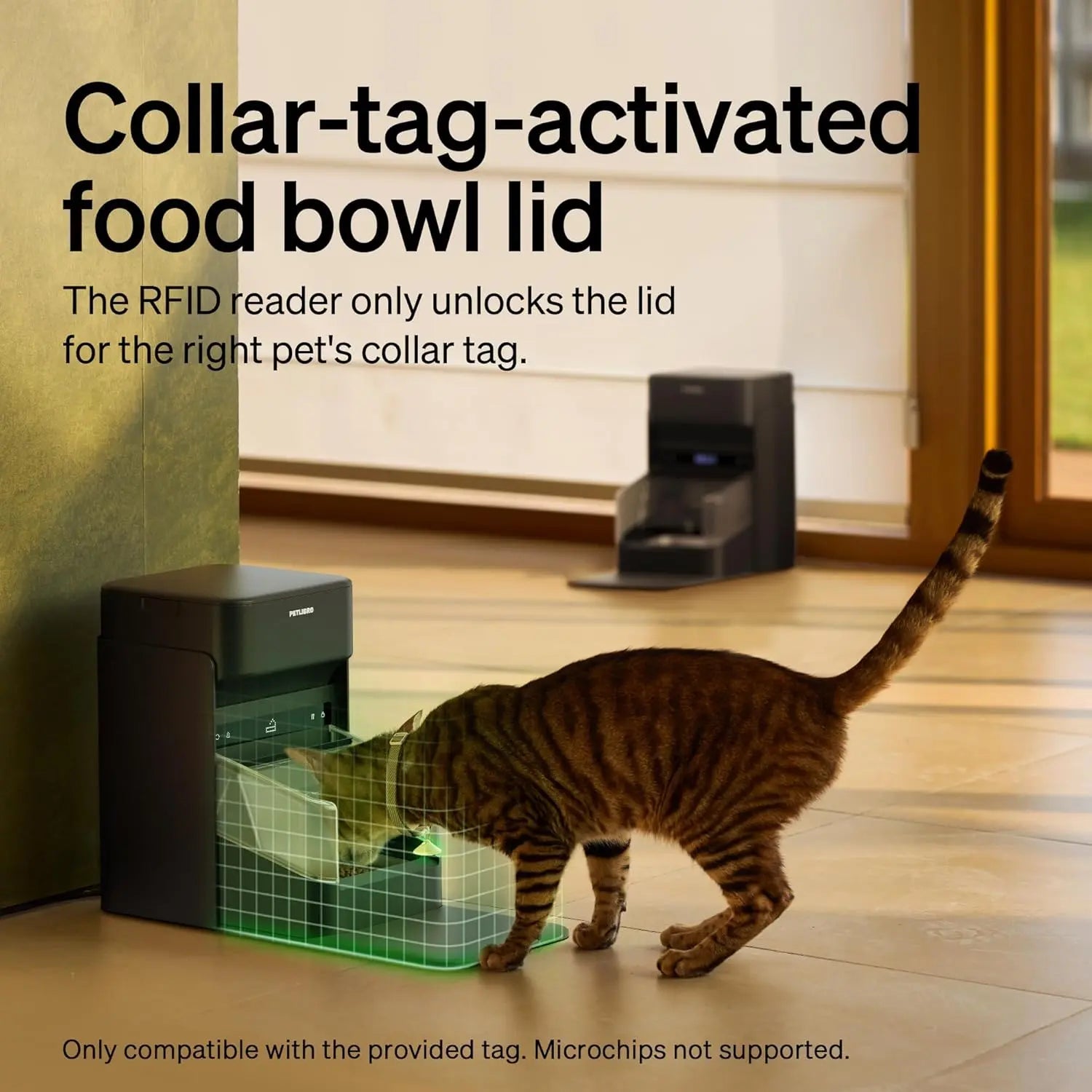 Automatic Cat Feeder — Collar Sensor & App Controlled