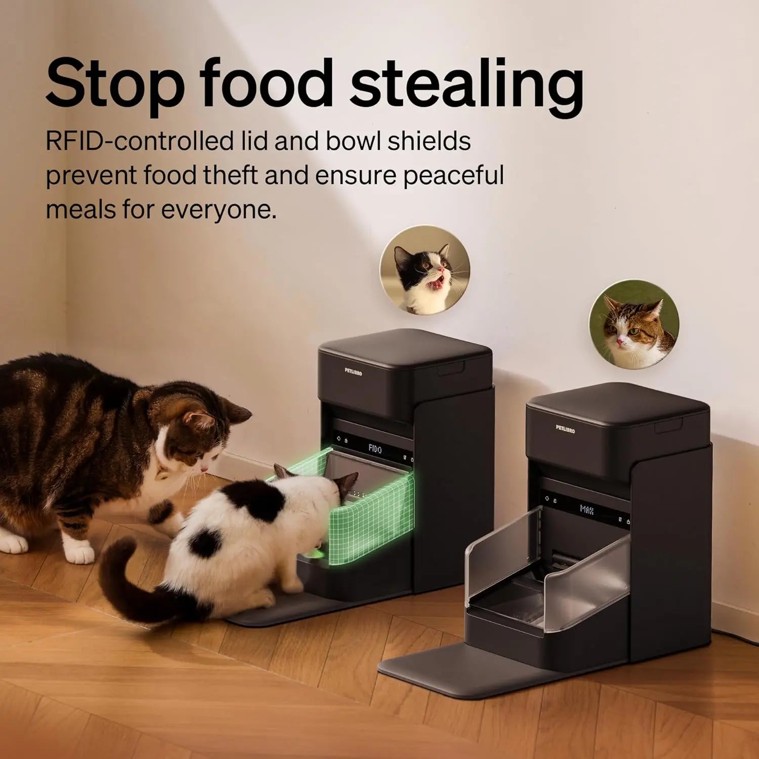 Automatic Cat Feeder — Collar Sensor & App Controlled