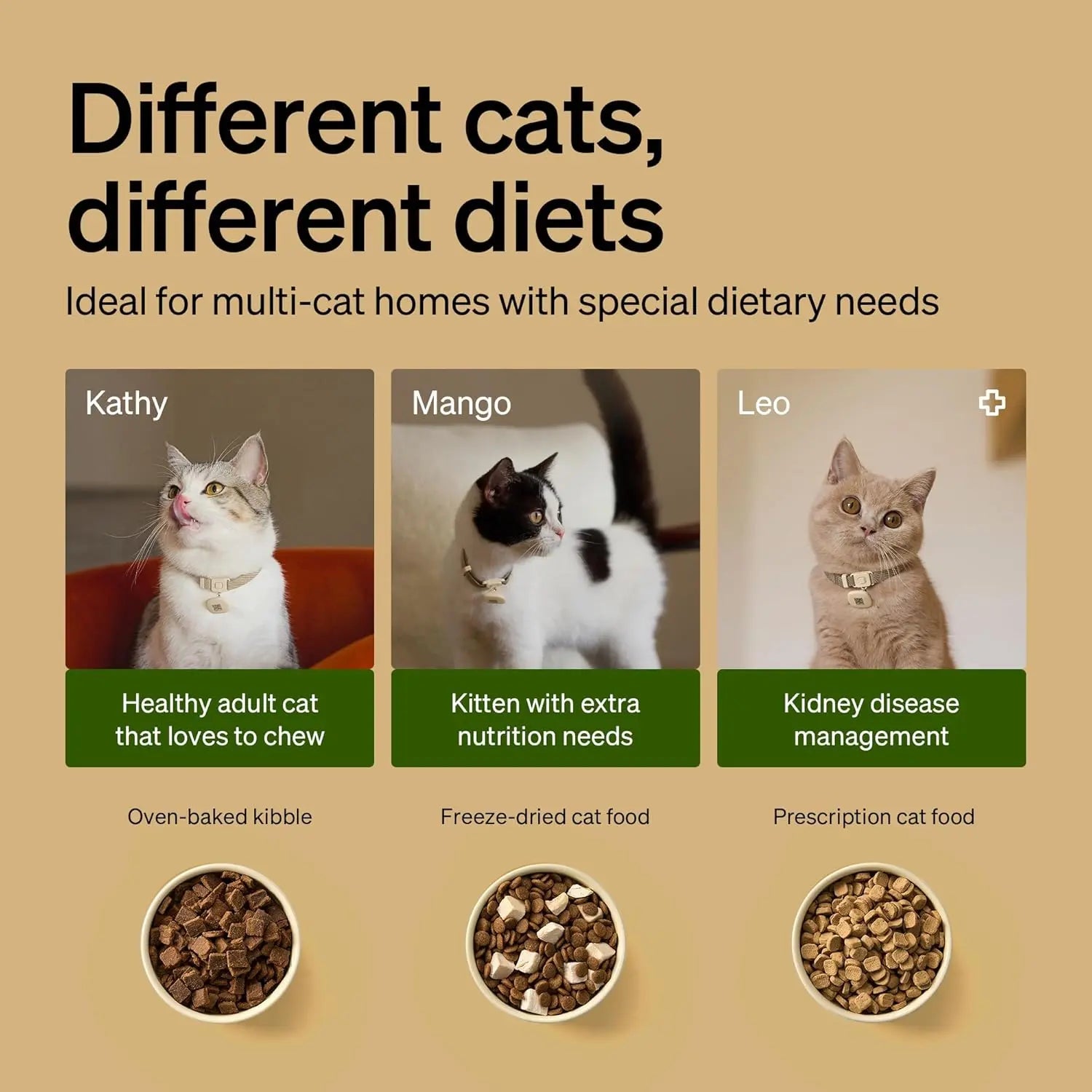 Automatic Cat Feeder — Collar Sensor & App Controlled