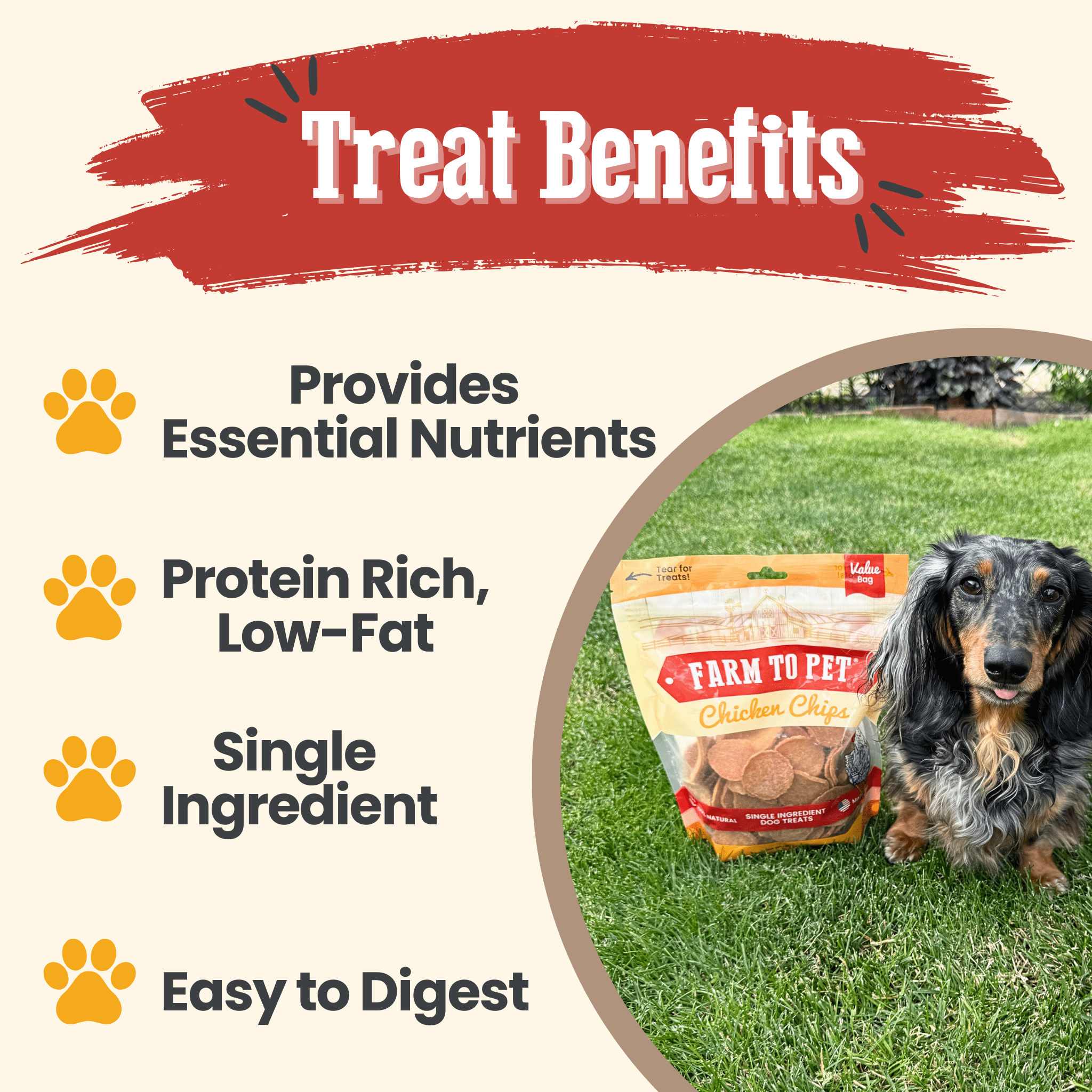 Farm to Pet Chicken Chips — All-Natural Single-Ingredient Dog Treats