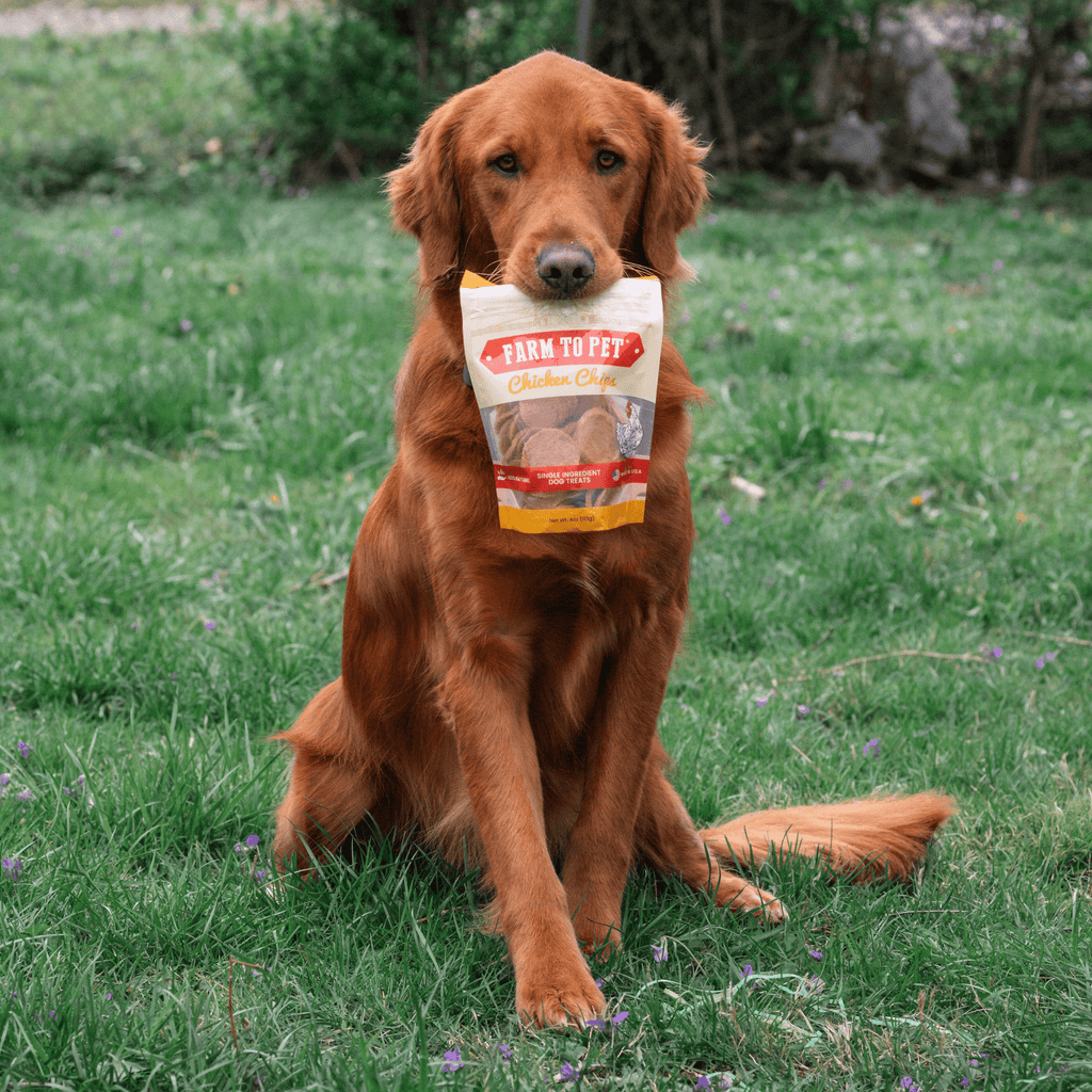 Farm to Pet Chicken Chips — All-Natural Single-Ingredient Dog Treats