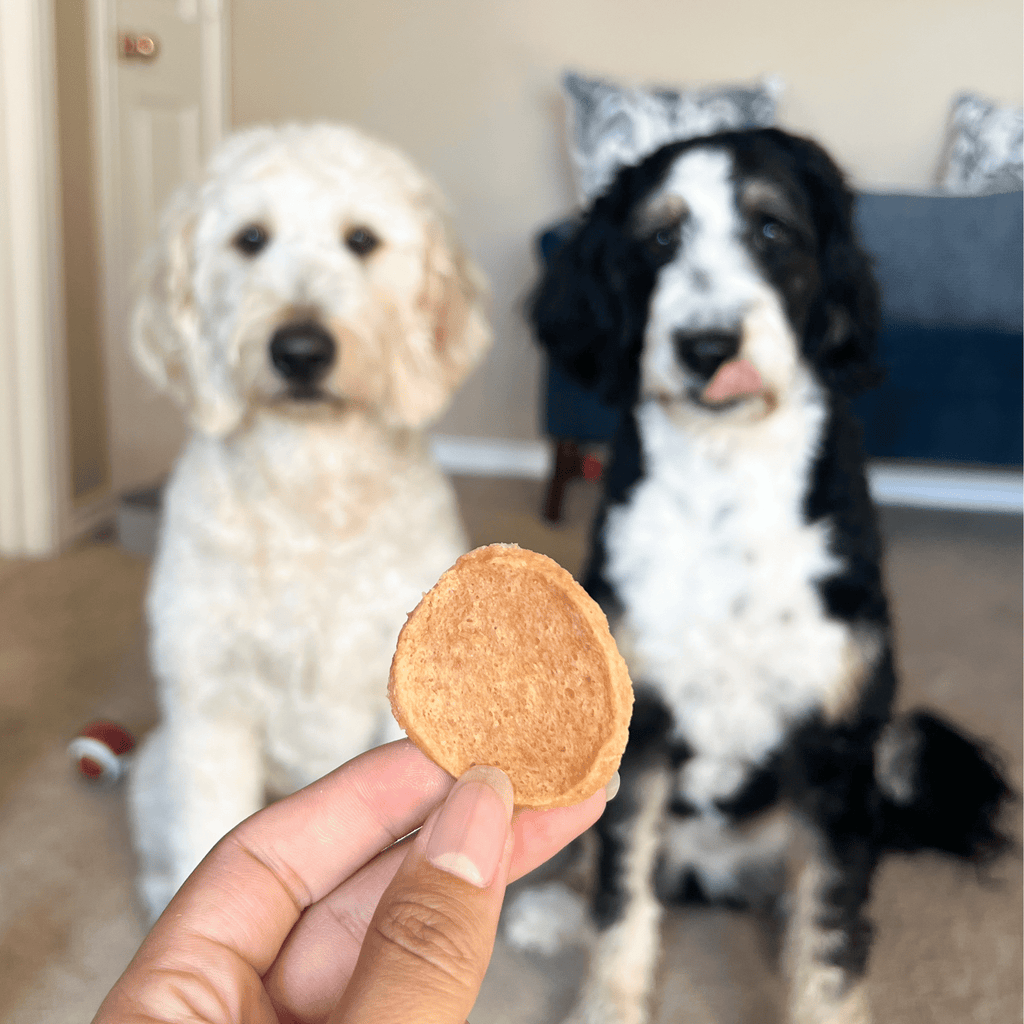 Farm to Pet Chicken Chips — All-Natural Single-Ingredient Dog Treats