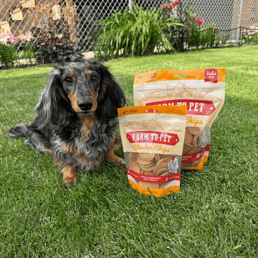 Farm to Pet Chicken Chips — All-Natural Single-Ingredient Dog Treats