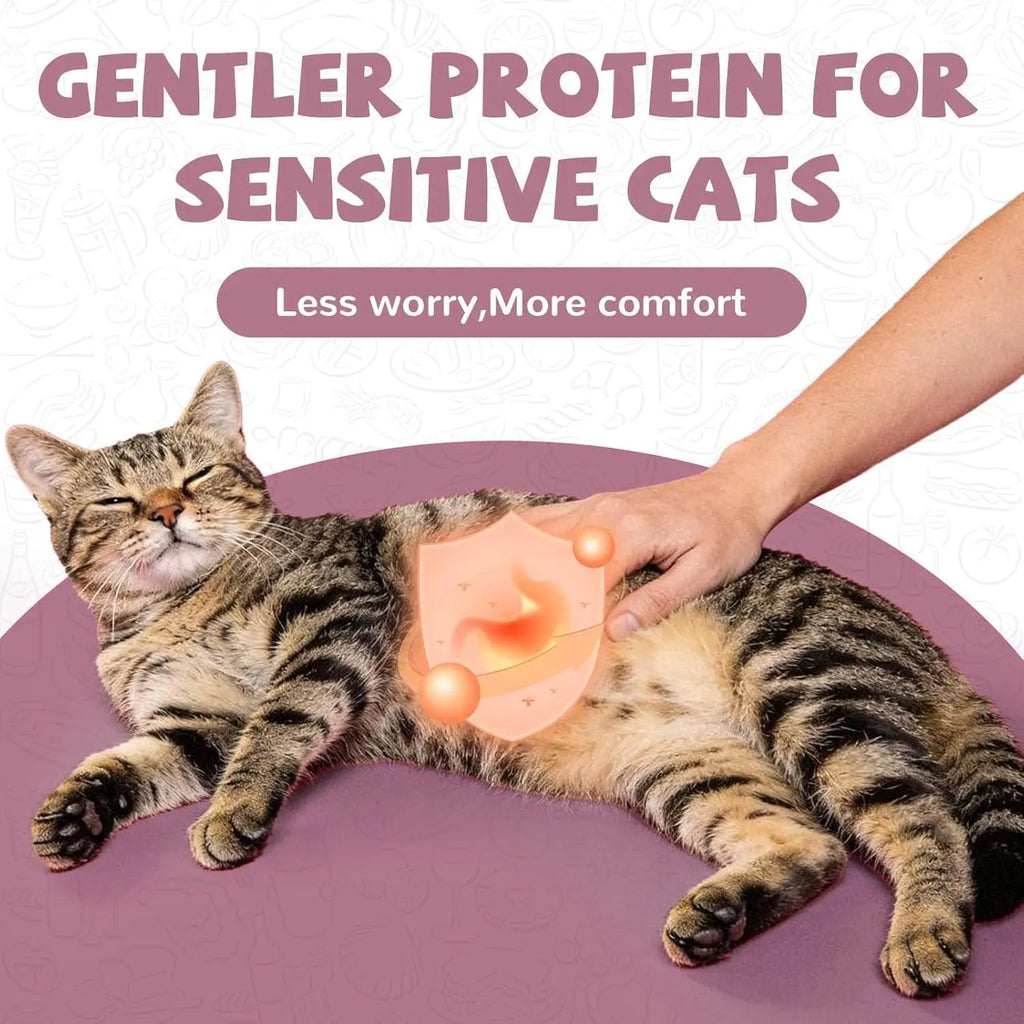 Freeze Dried Duck Dog & Cat Treats