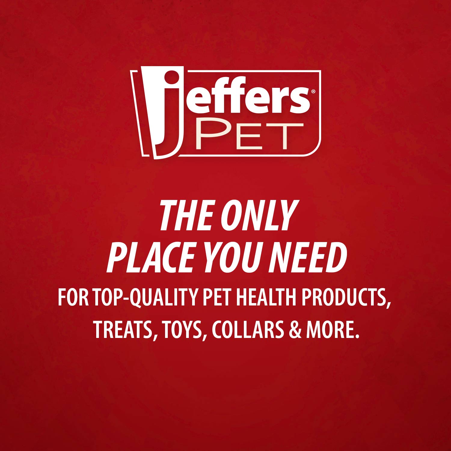 Apple Oatmeal Hypoallergenic Shampoo for Dogs & Cats