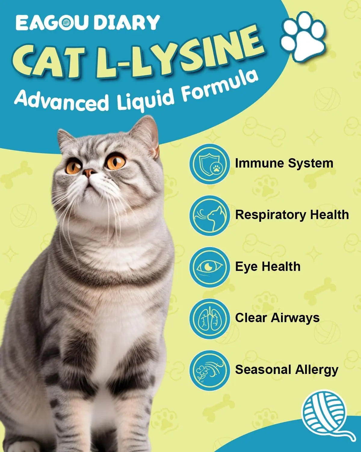 L-Lysine Drops for Cats — Immune & Respiratory Support, 2oz