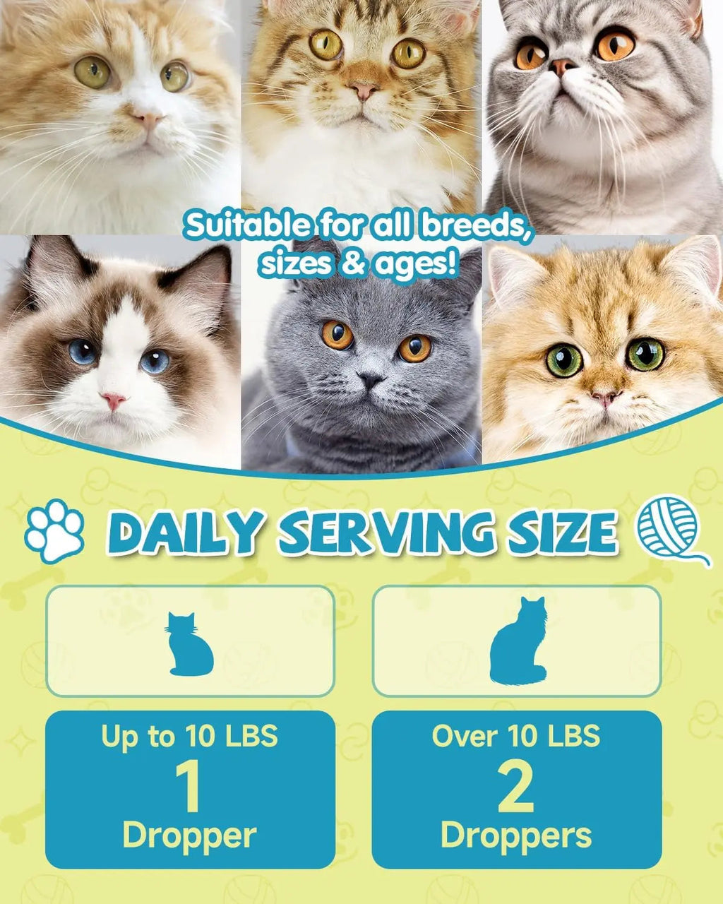 L-Lysine Drops for Cats — Immune & Respiratory Support, 2oz