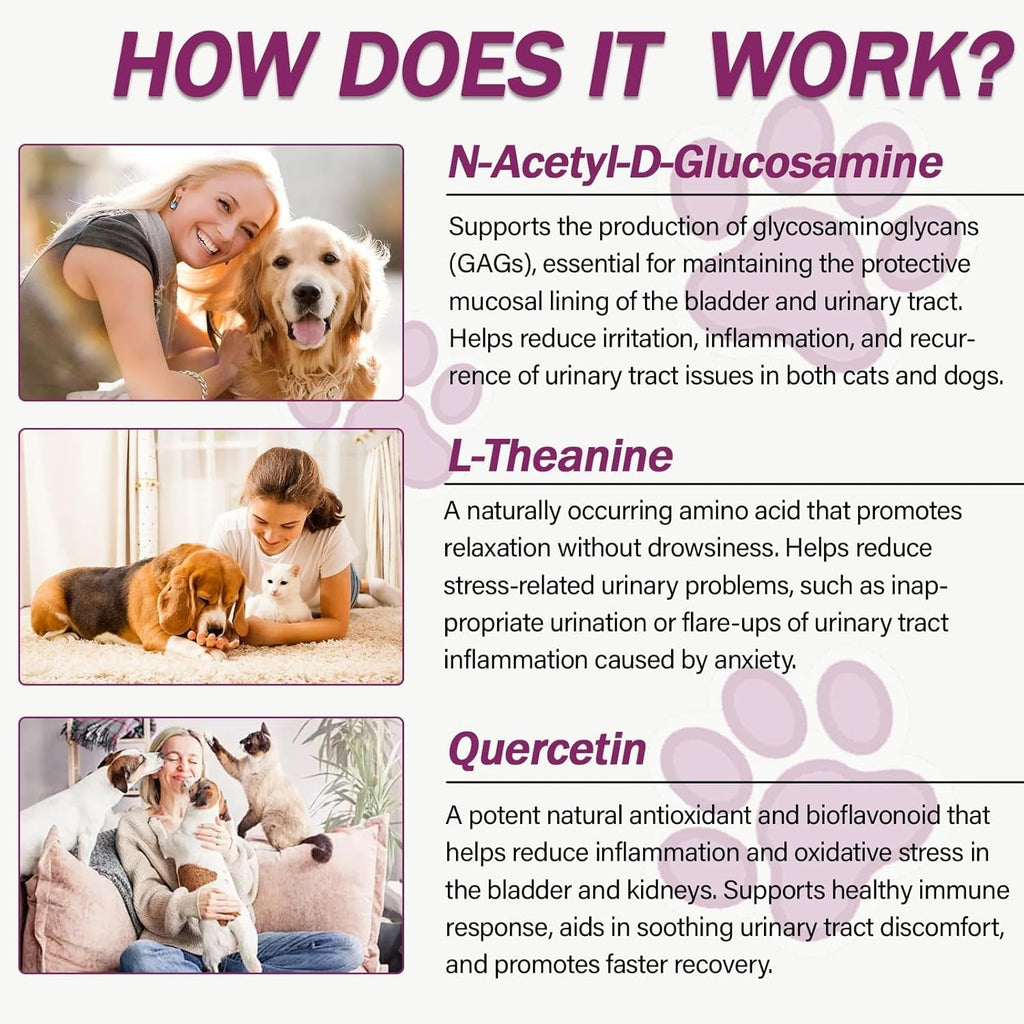 Urinary Tract Support Capsules for Dogs & Cats