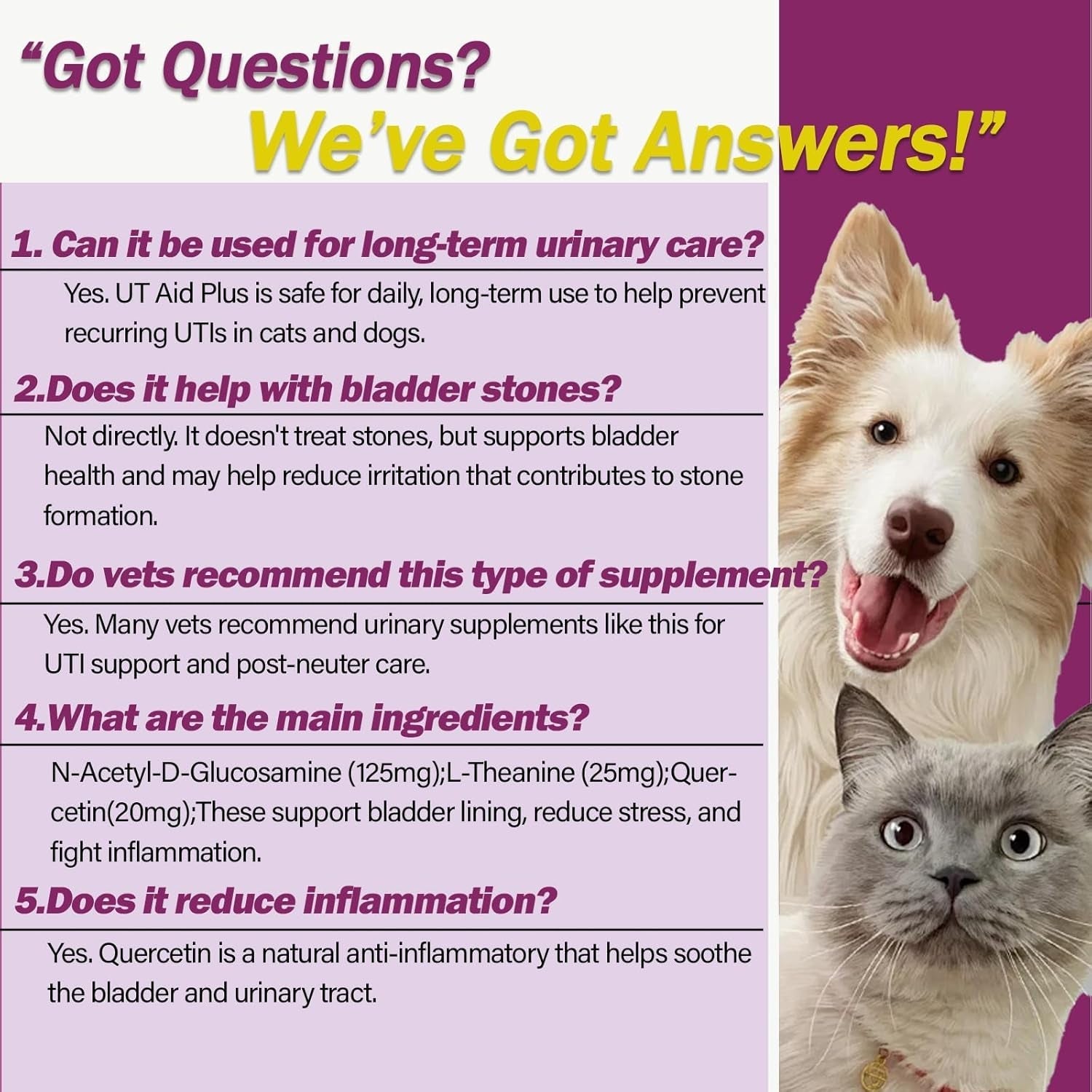 Urinary Tract Support Capsules for Dogs & Cats