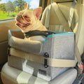 PETSFIT Small Dog Booster Car Seat — Foldable, Safety Tether