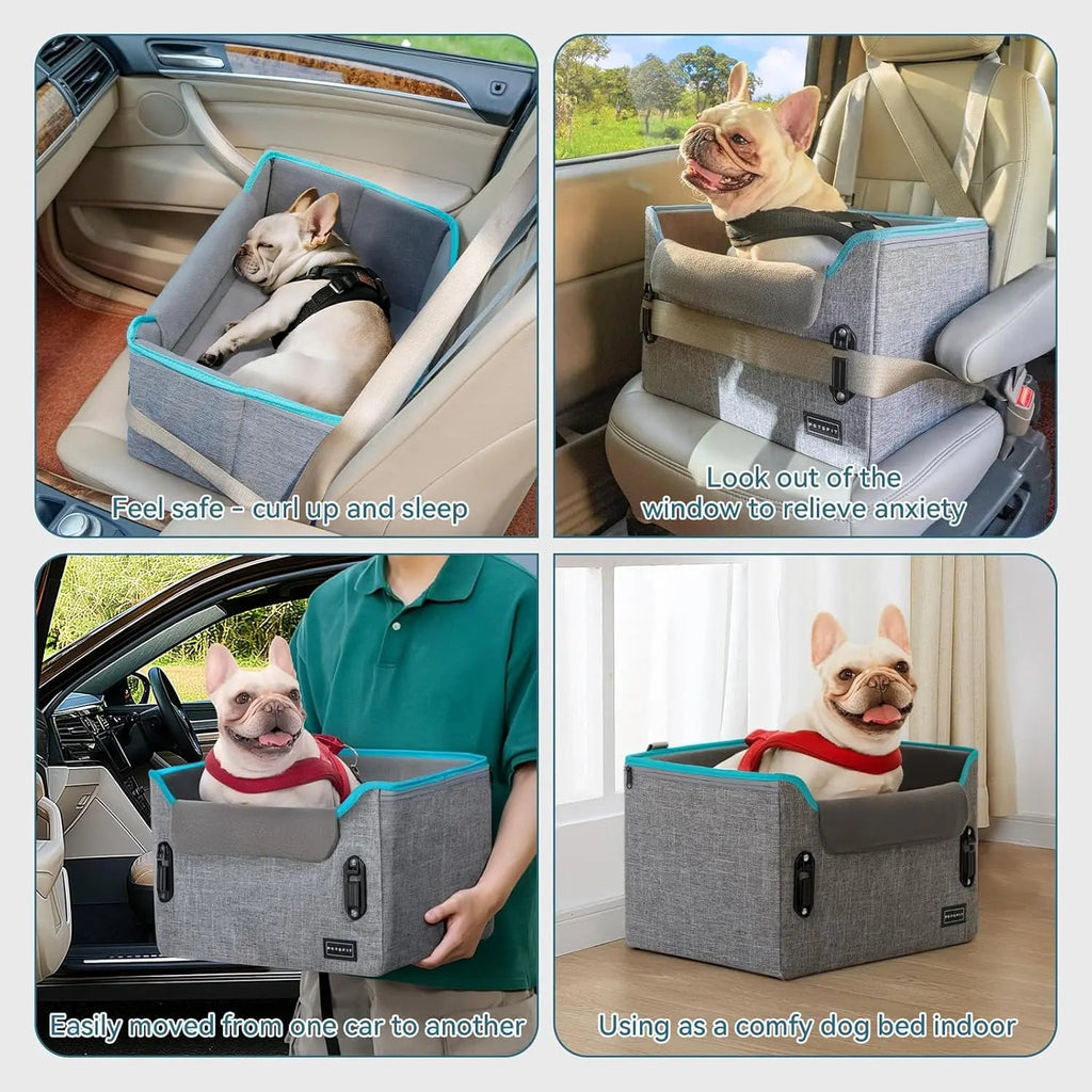 PETSFIT Small Dog Booster Car Seat — Foldable, Safety Tether