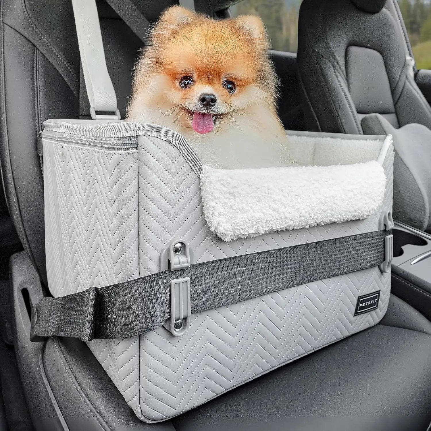 PETSFIT Small Dog Booster Car Seat — Foldable, Safety Tether