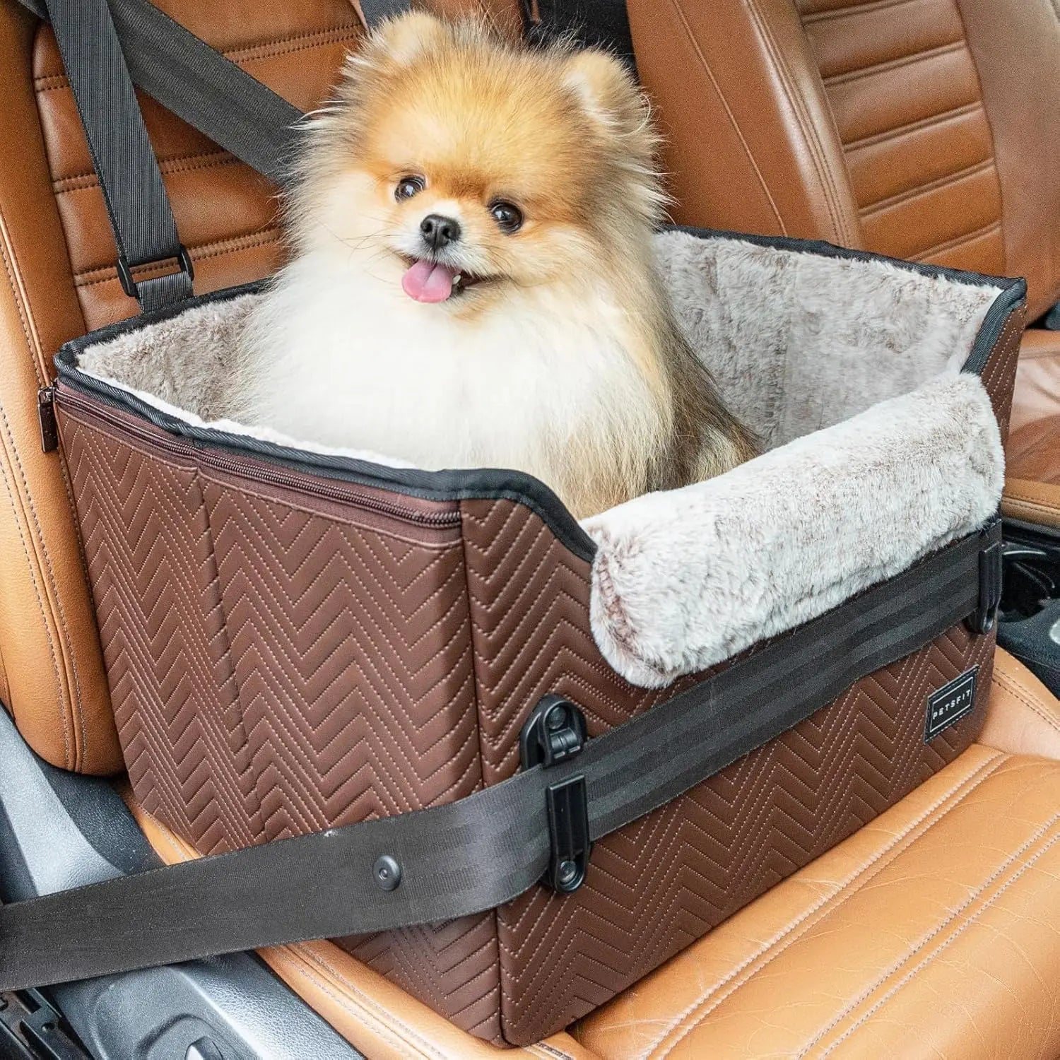 PETSFIT Small Dog Booster Car Seat — Foldable, Safety Tether