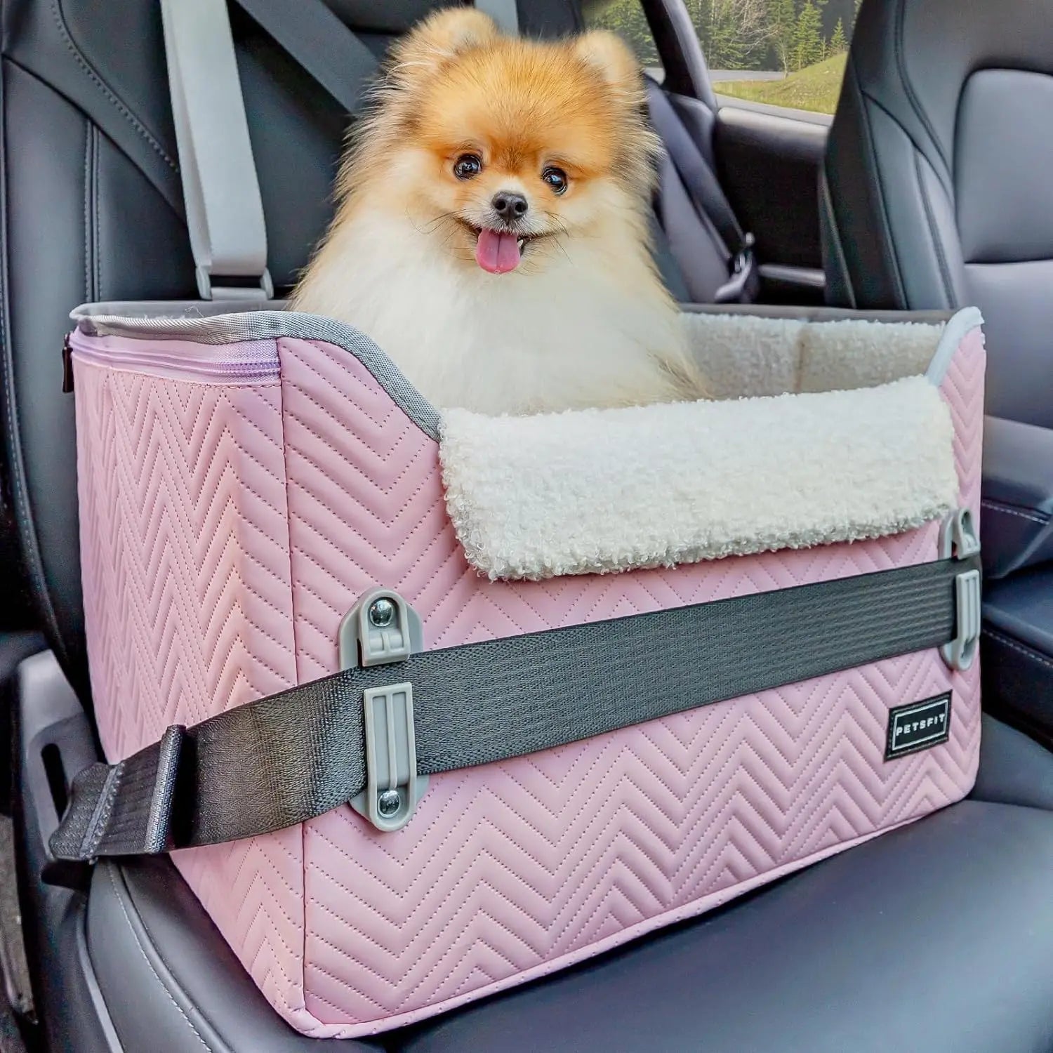 PETSFIT Small Dog Booster Car Seat — Foldable, Safety Tether