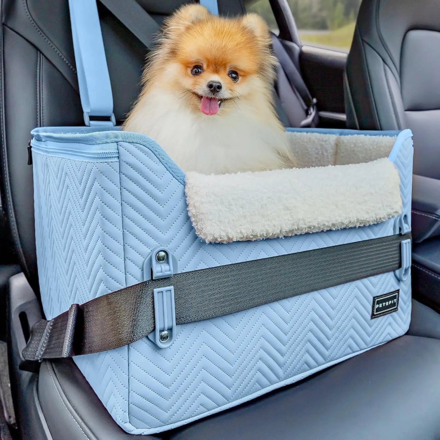 PETSFIT Small Dog Booster Car Seat — Foldable, Safety Tether