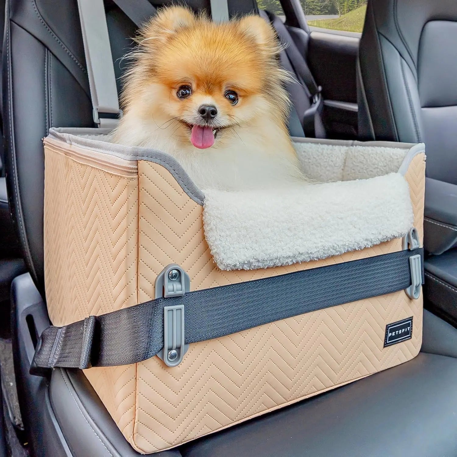 PETSFIT Small Dog Booster Car Seat — Foldable, Safety Tether