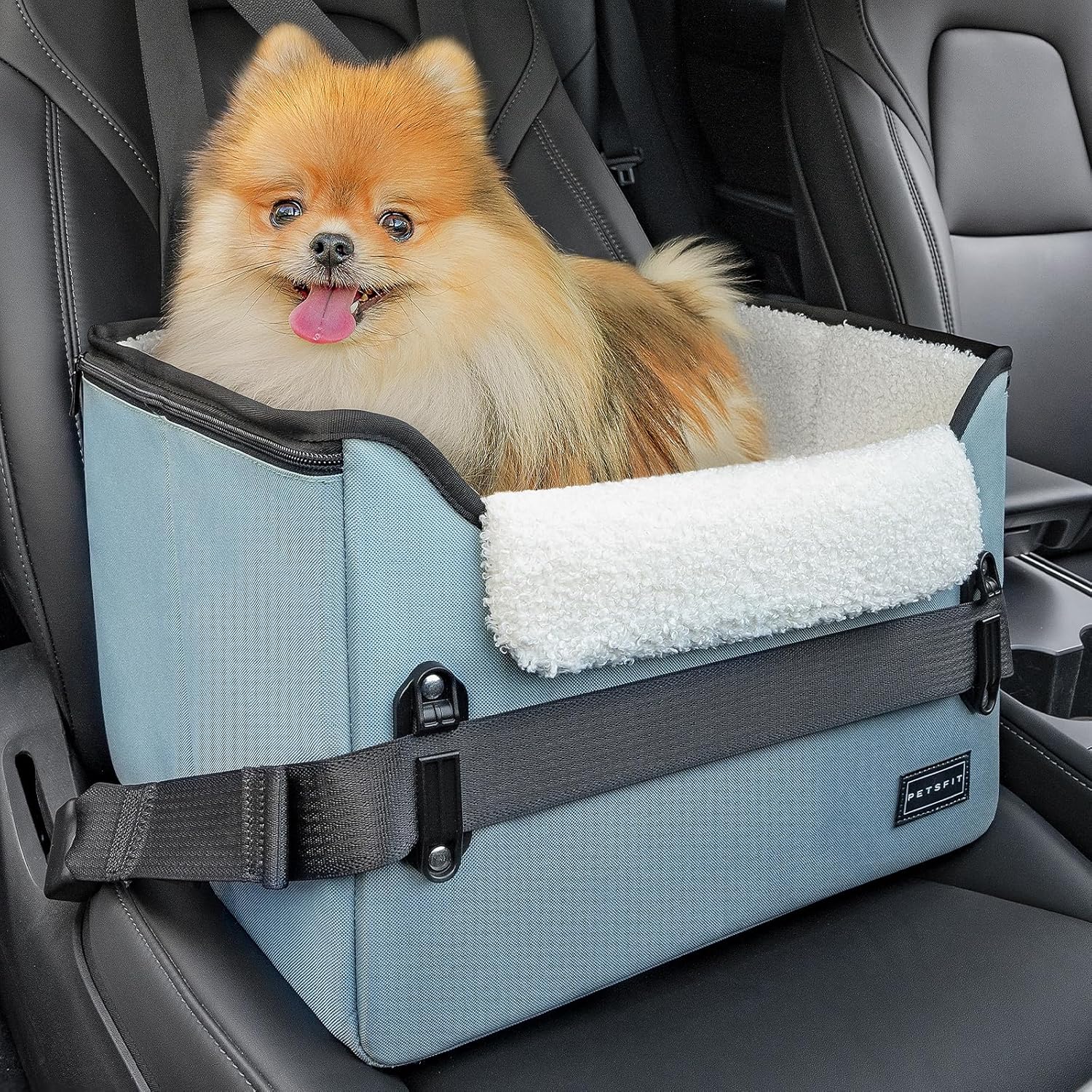 PETSFIT Small Dog Booster Car Seat — Foldable, Safety Tether
