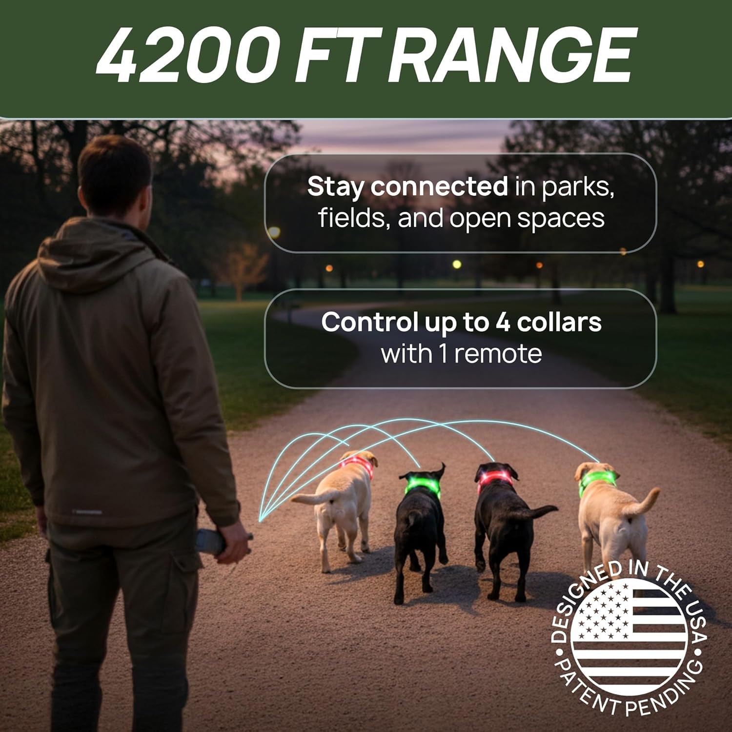 Dog Training Collar for 2 Dogs — 360° LED, 4200FT Range