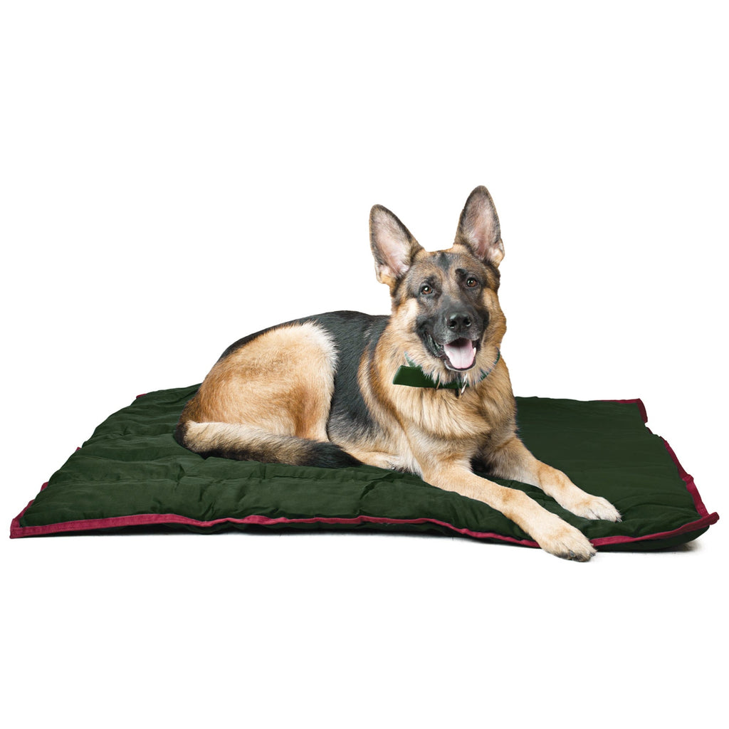 Jeffers Washable Comfy Dog Pillow for Crates & Carriers