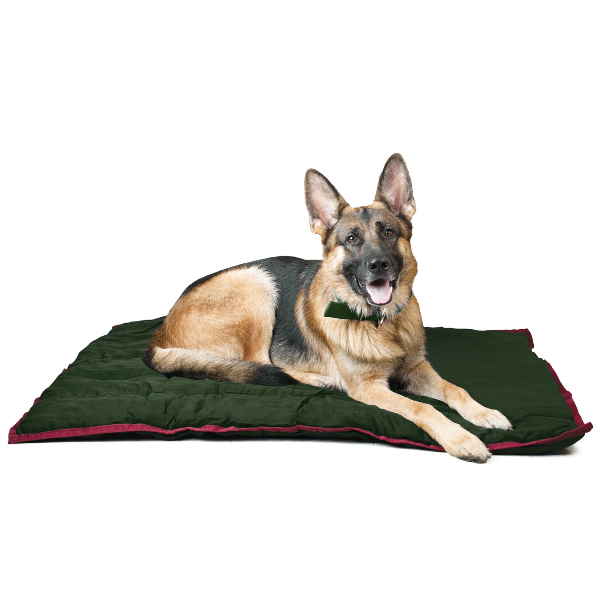 Jeffers Washable Comfy Dog Pillow for Crates & Carriers
